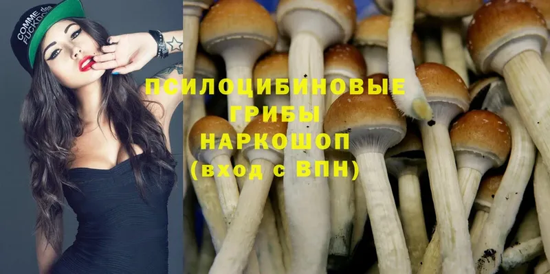 Псилоцибиновые грибы MAGIC MUSHROOMS  Качканар 